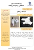 نمایشگاه  هفته پژوهش 6