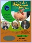 وبینار  همبستگی و اتحاد مسلمانان مانع تفرقه افکنی دشمنان
