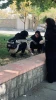 برنامه دوشنبه های سبز امروز ساعت 11:30 محوطه دانشکده فنی و حرفه ای دختران کرمانشاه 10