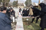 مراسم روز درختکاری در دانشکده فنی و حرفه ای دختران کرمانشاه برگزار شد 9