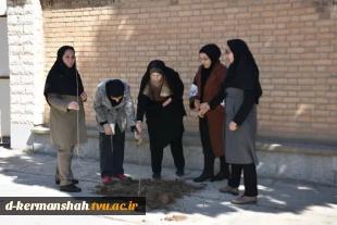 اجرای دومین مرحله درختکاری در آموزشکده فنی و حرفه ای دختران کرمانشاه 2