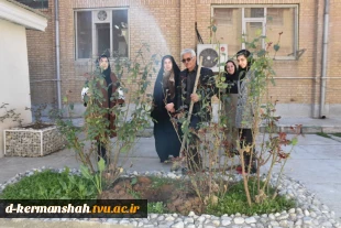 اجرای دومین مرحله درختکاری در آموزشکده فنی و حرفه ای دختران کرمانشاه 3