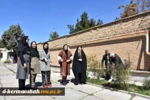 اجرای دومین مرحله درختکاری در آموزشکده فنی و حرفه ای دختران کرمانشاه 4