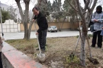 مراسم روز درختکاری در دانشگاه ملی مهارت واحد دختران کرمانشاه برگزار شد. 8