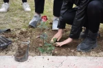 مراسم روز درختکاری در دانشگاه ملی مهارت واحد دختران کرمانشاه برگزار شد. 7