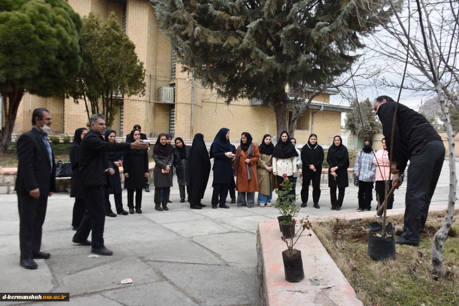 مراسم روز درختکاری در دانشگاه ملی مهارت واحد دختران کرمانشاه برگزار شد. 4