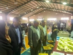 نمایشگاه دستاوردهای دانشجویان دانشگاه ملی مهارت استان کرمانشاه با حضور مسئولان استانی برگزار شد. 12
